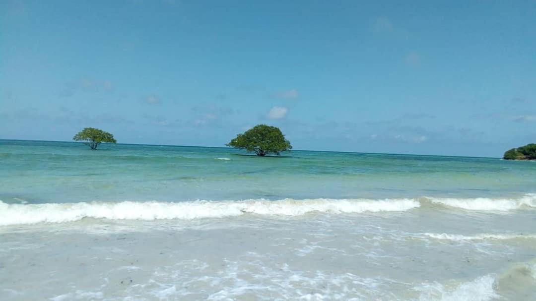 L&J Modern Backpackers Kigamboni Beach House Bed & Breakfast Dar es Salaam Exterior photo