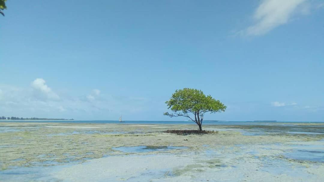 L&J Modern Backpackers Kigamboni Beach House Bed & Breakfast Dar es Salaam Exterior photo